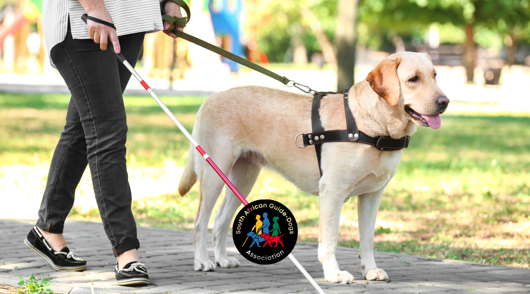 Pet Storey Named Official CSI Partner of Choice 2026 for SAGDA